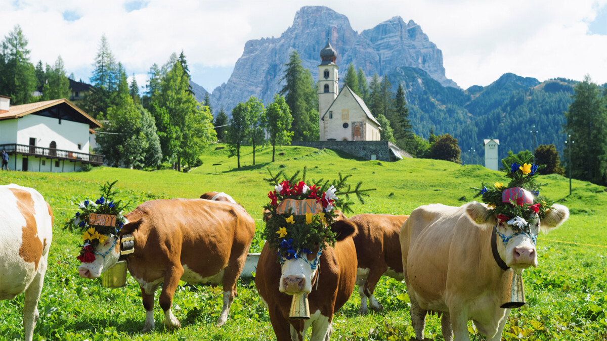 Scopri di più sull'articolo Festa della Desmontegada a Selva di Cadore