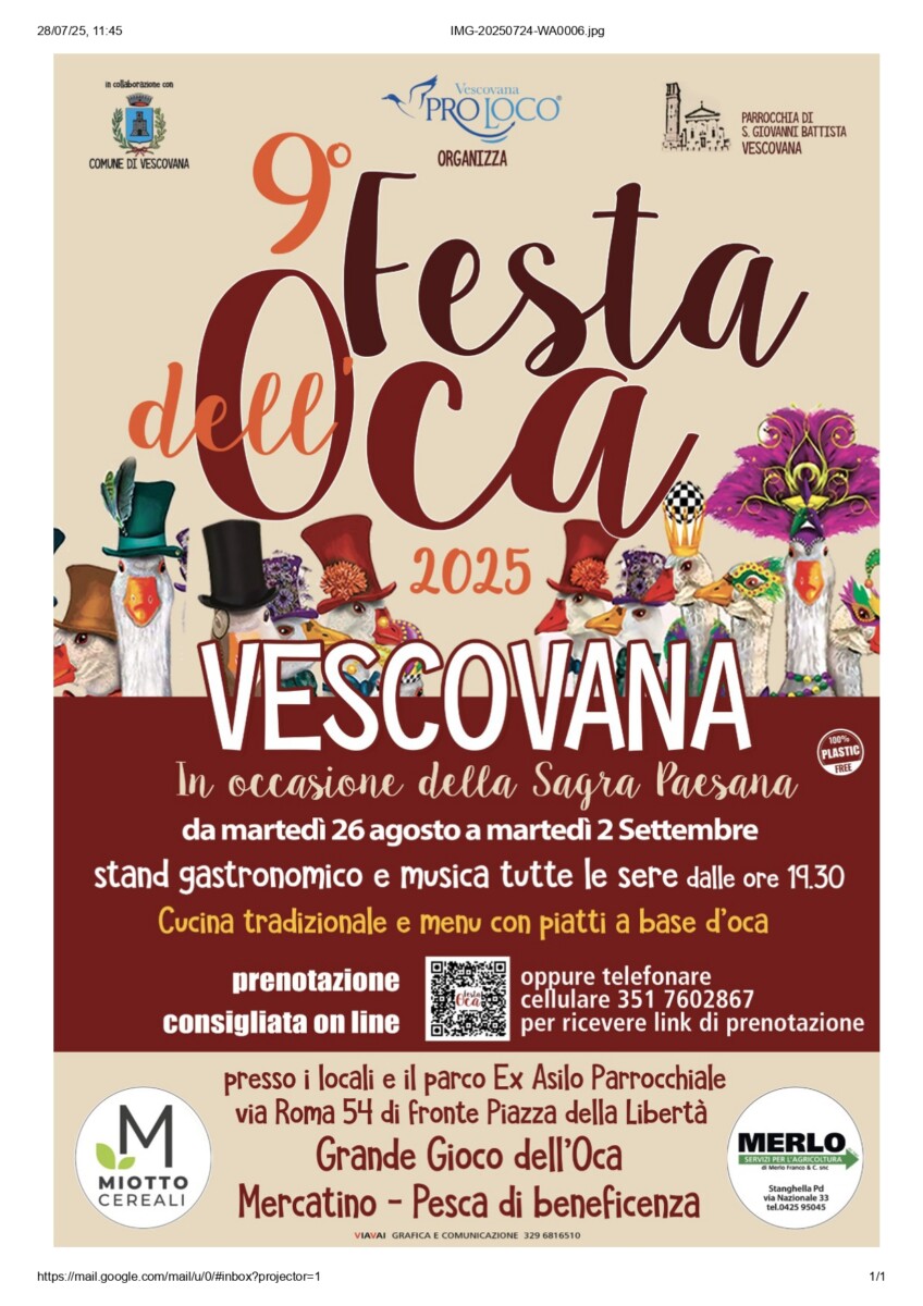 Scopri di più sull'articolo Festa dell’Oca
