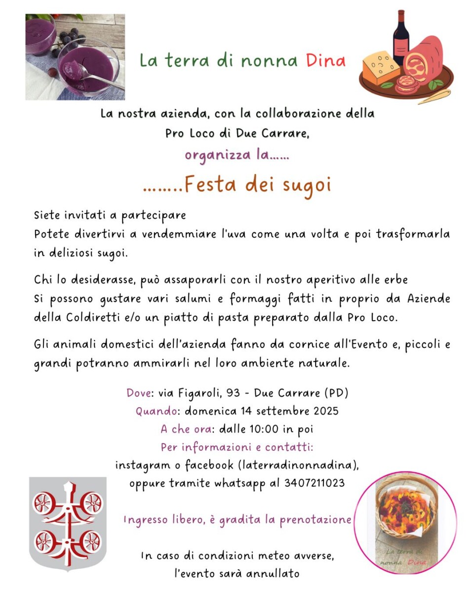 Scopri di più sull'articolo Festa dei Sugoi