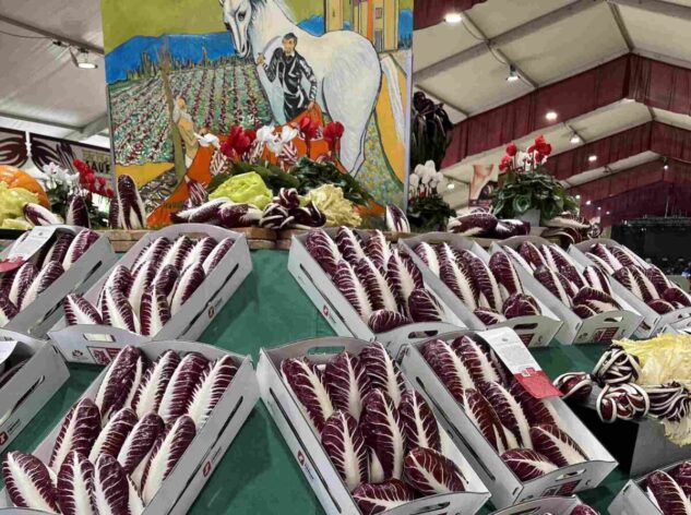 festa radicchio rio san martino (2)