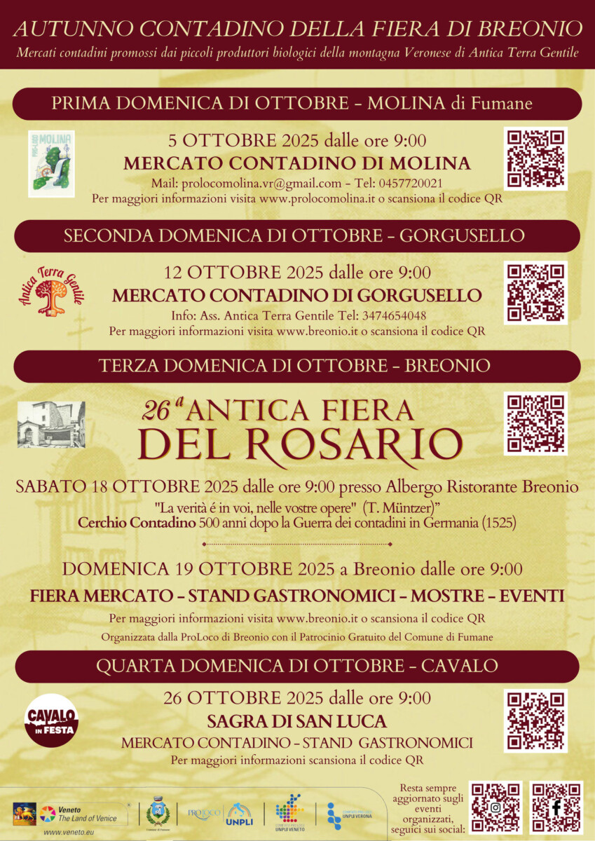 Scopri di più sull'articolo 26^ Antica Fiera del Rosario