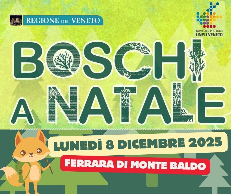Scopri di più sull'articolo Boschi a Natale 2025