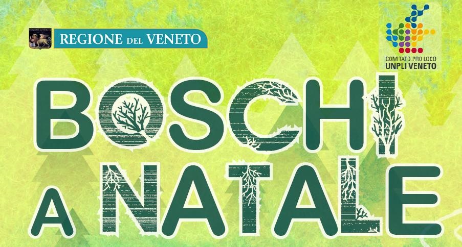 Scopri di più sull'articolo Passeggiata tra i Vigneti – 2025