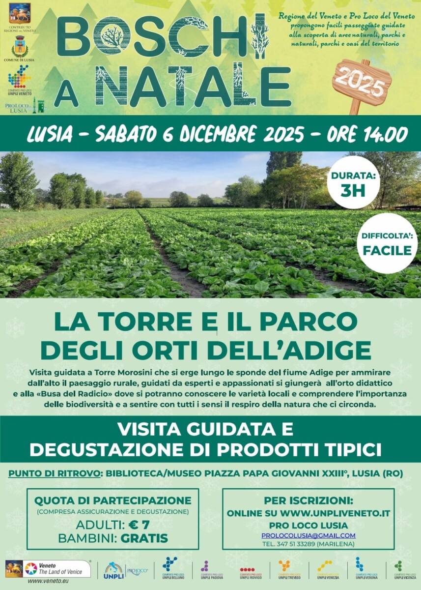 Scopri di più sull'articolo Boschi a Natale 2025 – Lusia