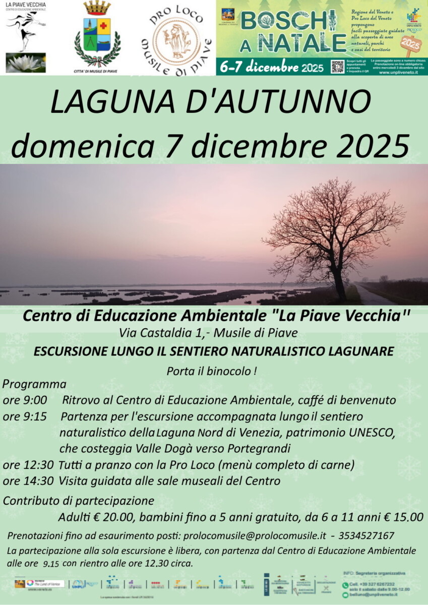Scopri di più sull'articolo Sentiero Naturalistico Laguna d’Autunno- 2025