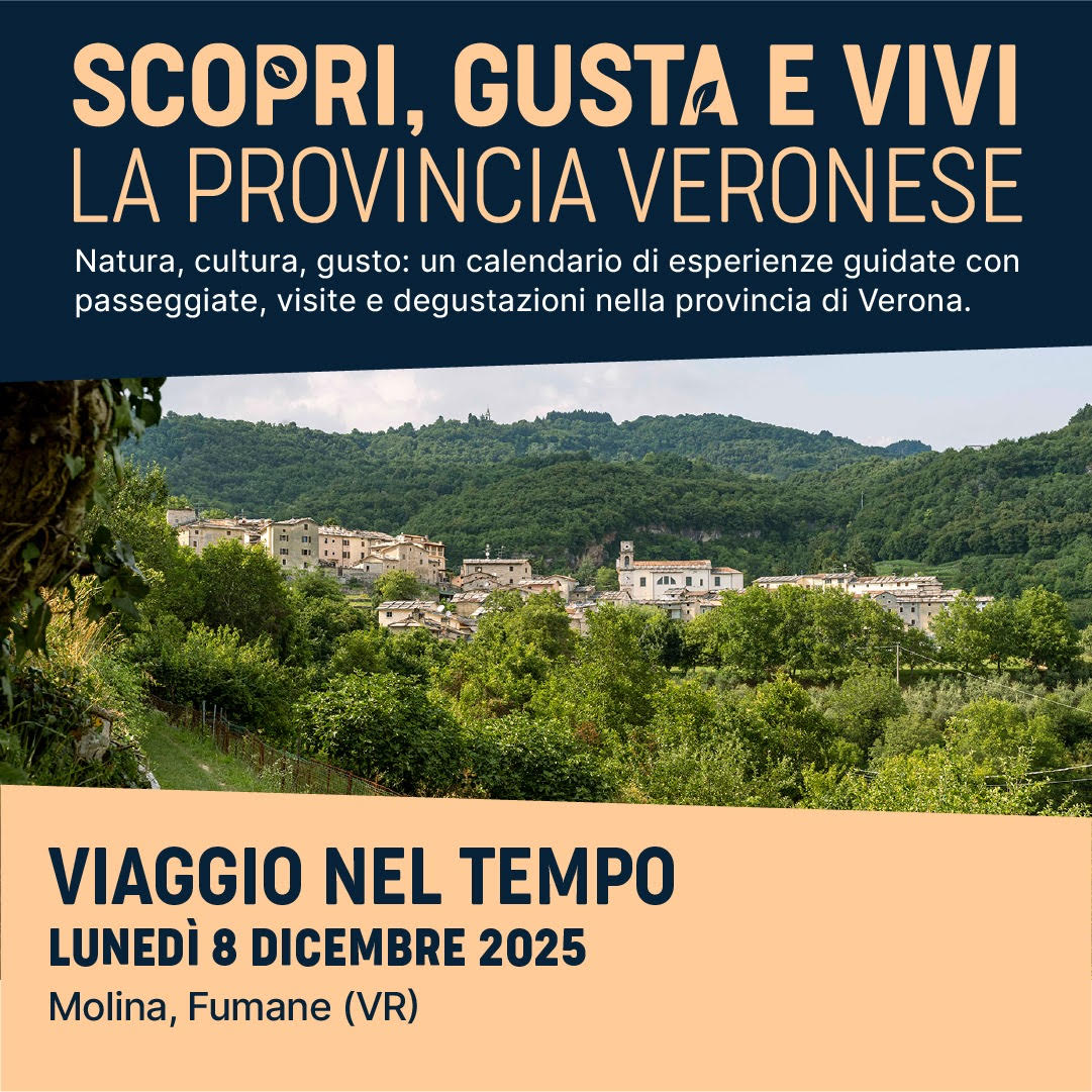 Scopri di più sull'articolo “Scopri, Gusta e Vivi la Provincia Veronese”