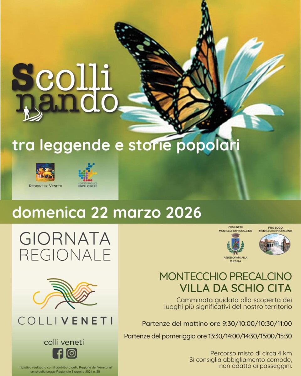 Scopri di più sull'articolo Scollinando