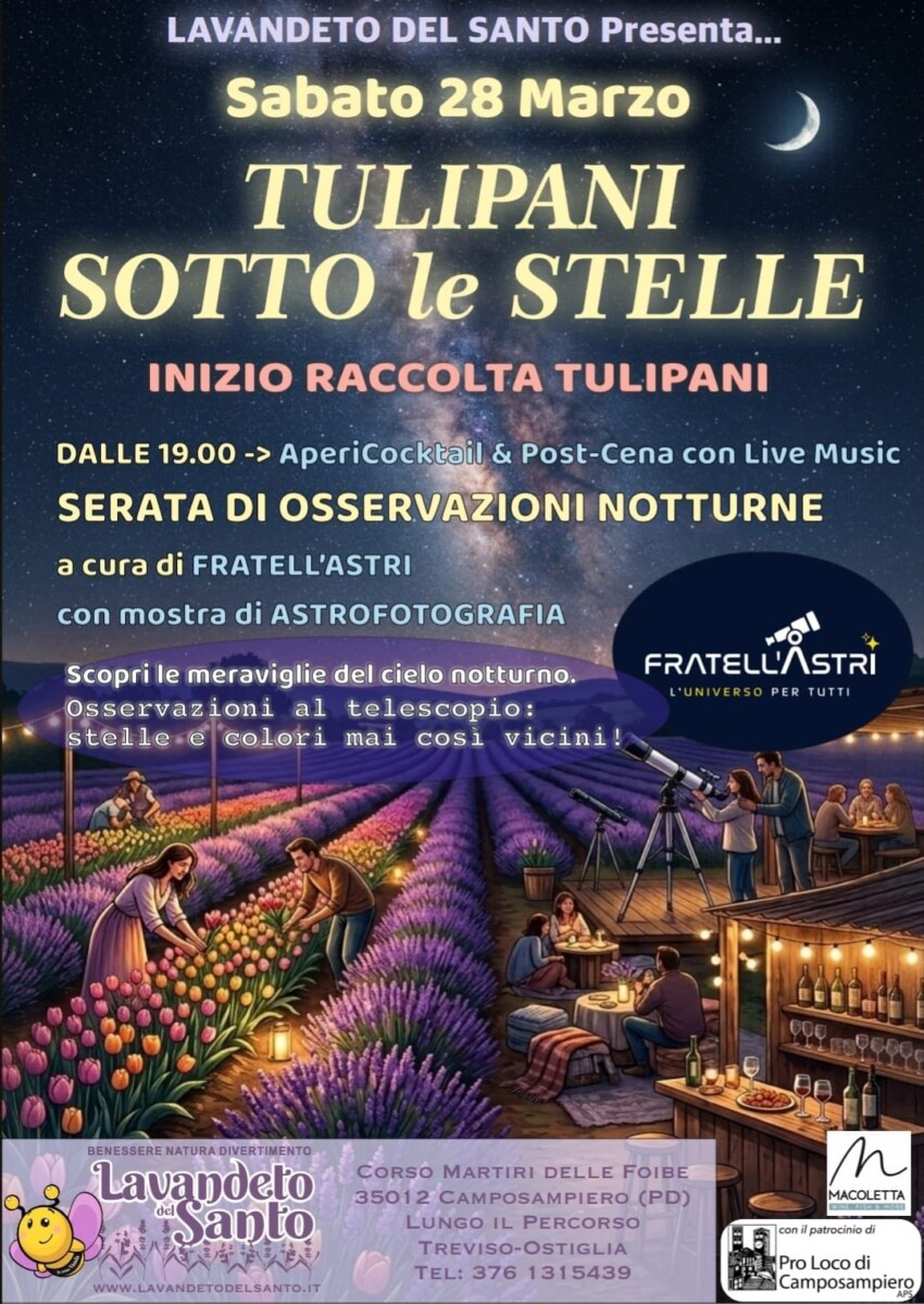 Scopri di più sull'articolo Tulipani sotto le stelle