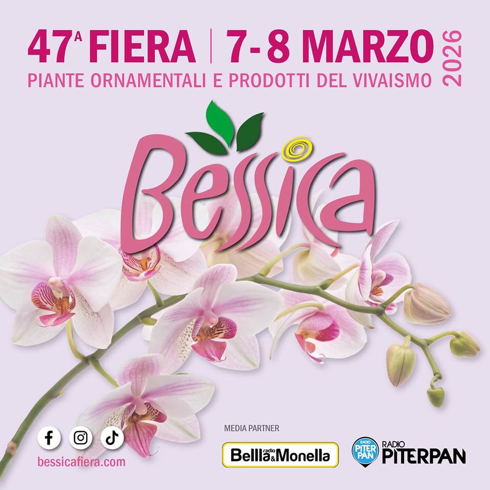 Scopri di più sull'articolo 47^ Edizione Fiera di Bessica