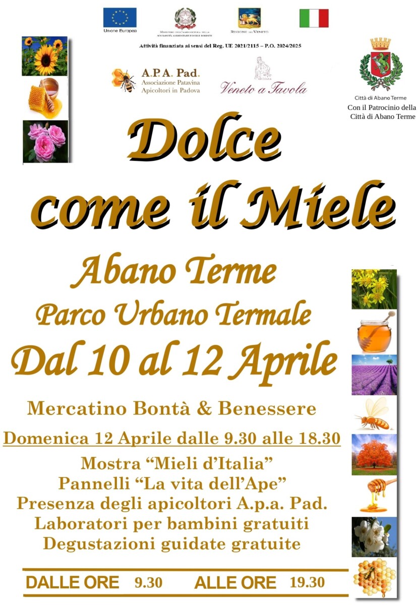 Scopri di più sull'articolo Dolce come il Miele