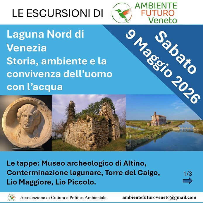 Scopri di più sull'articolo “Escursioni” di Ambiente Futuro Veneto