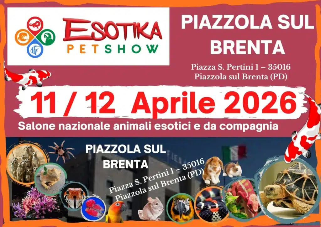Scopri di più sull'articolo Esotika Pet Show