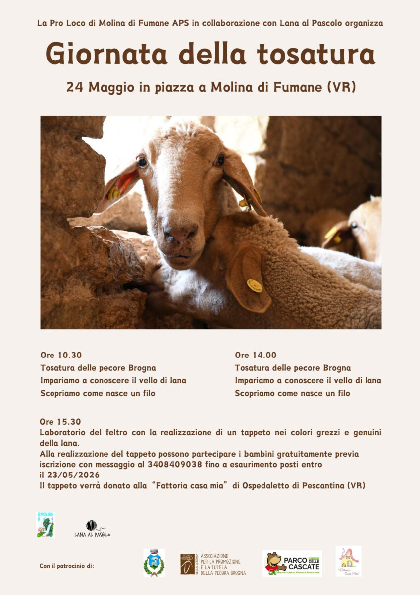 Scopri di più sull'articolo Giornata della Tosatura