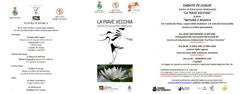 Scopri di più sull'articolo Natura e Musica