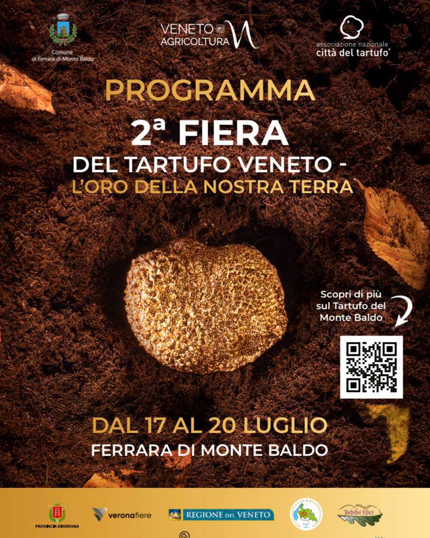 Scopri di più sull'articolo 2^ Fiera del Tartufo Veneto