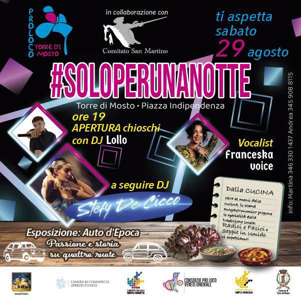 Scopri di più sull'articolo SOLOPERUNANOTTE